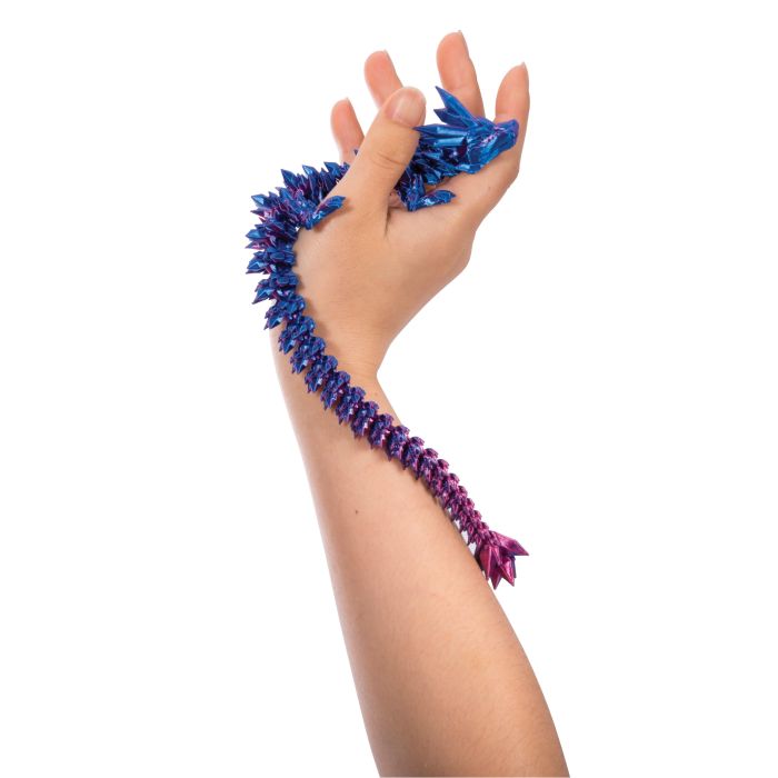 Discovery Zone 3D Sensory Dragon