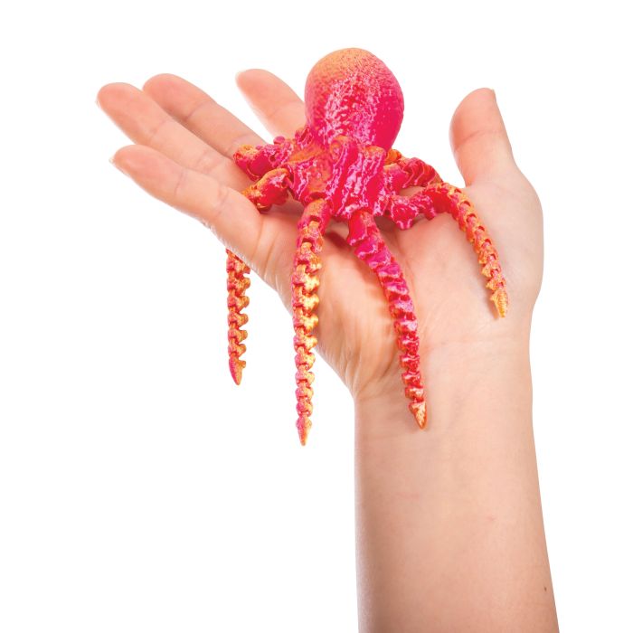 Discovery Zone 3D Sensory Sea Life
