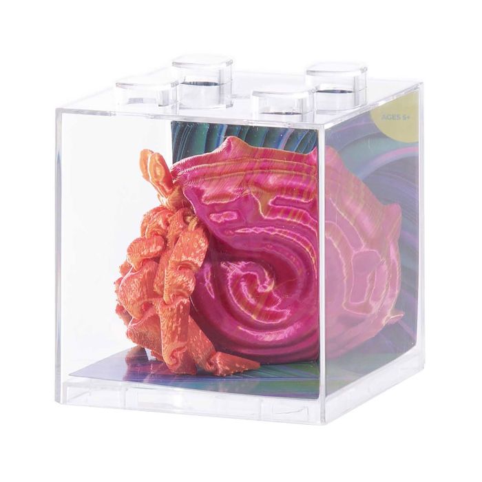 Discovery Zone 3D Sensory Sea Life