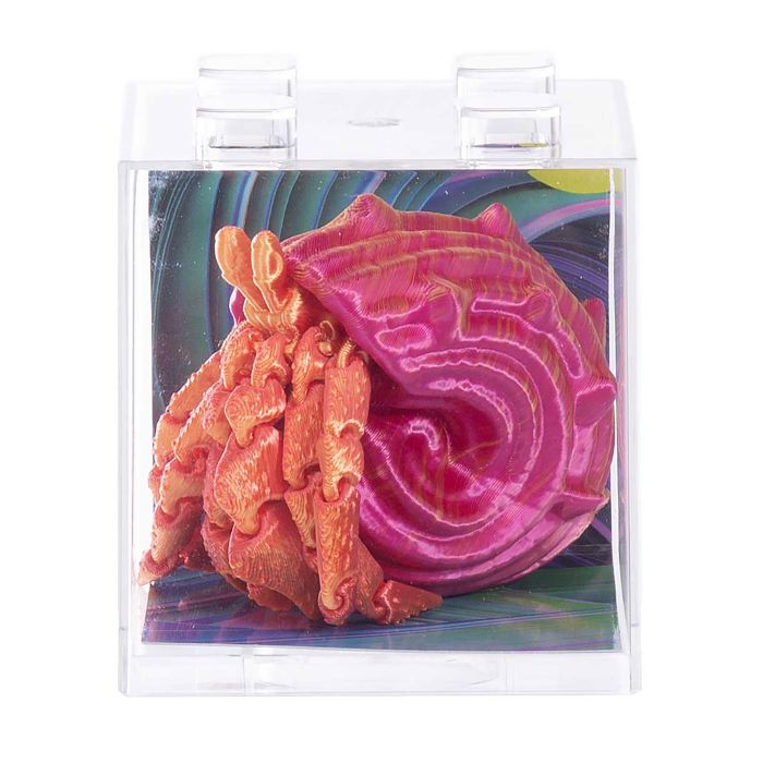 Discovery Zone 3D Sensory Sea Life