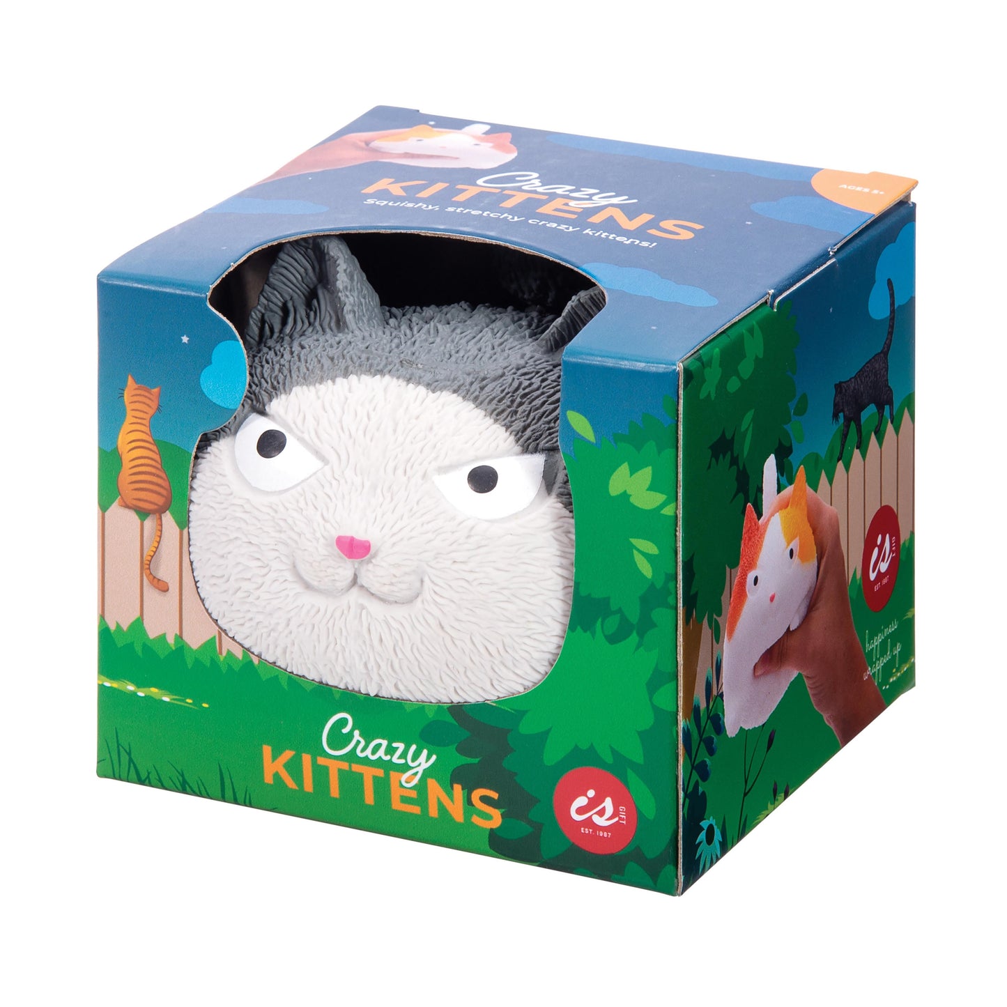 IsGift Crazy Kittens 9cm