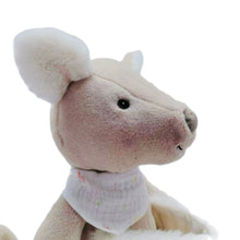 Load image into Gallery viewer, Toyslink Plush Toy Kangaroo Katie and Roo
