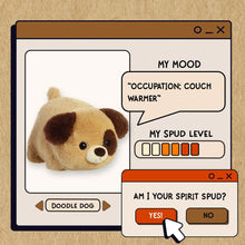 Load image into Gallery viewer, Spudsters Doodle Dog 25cm
