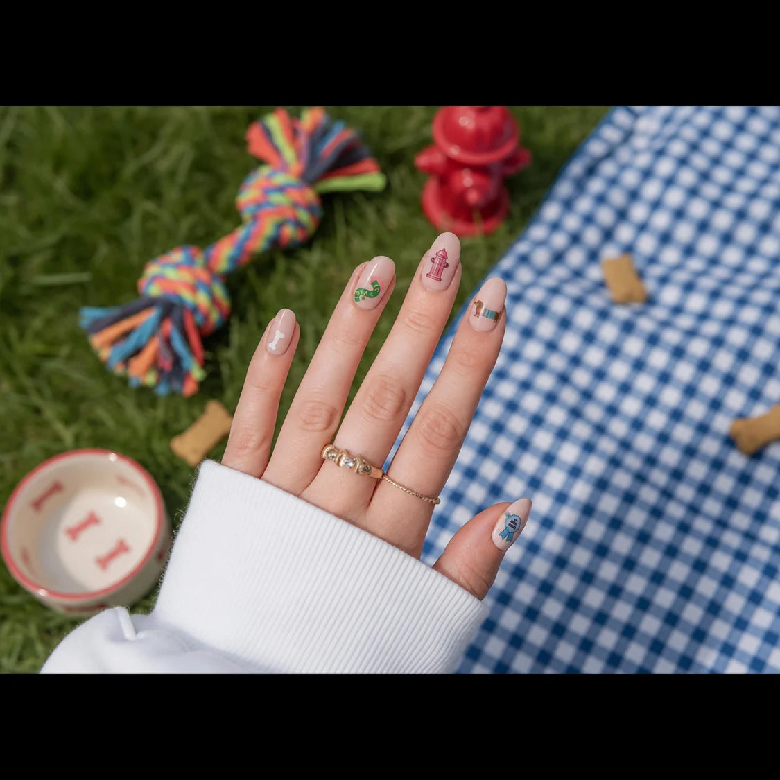 NPW Nail Stickers-Weenie Dog Multi-Coloured