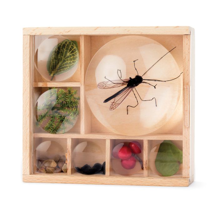 Kikkerland Great Outdoors - Bug Box Wood 11.7x10.8x3.5cm