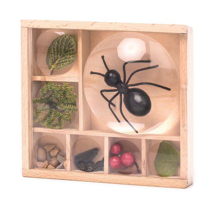 Kikkerland Great Outdoors - Bug Box Wood 11.7x10.8x3.5cm