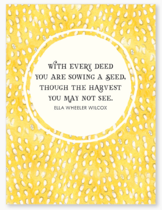 Affirmations -Twigseeds 24 Cards - A Little Box of Sunshine - DSU