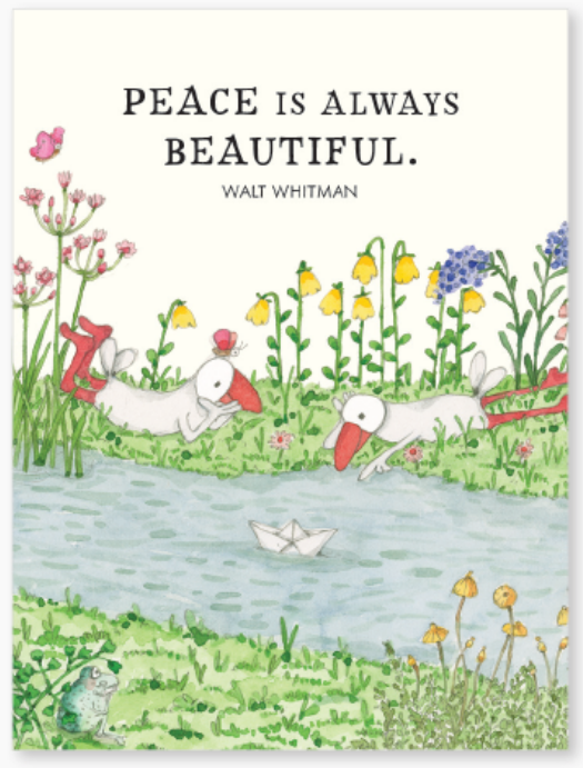 Affirmations -Twigseeds 24 Cards - A Little Box of Serenity - DSE