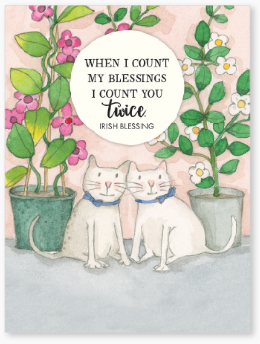 Affirmations -Twigseeds 24 Cards - A Little Box of Friendship - DFP