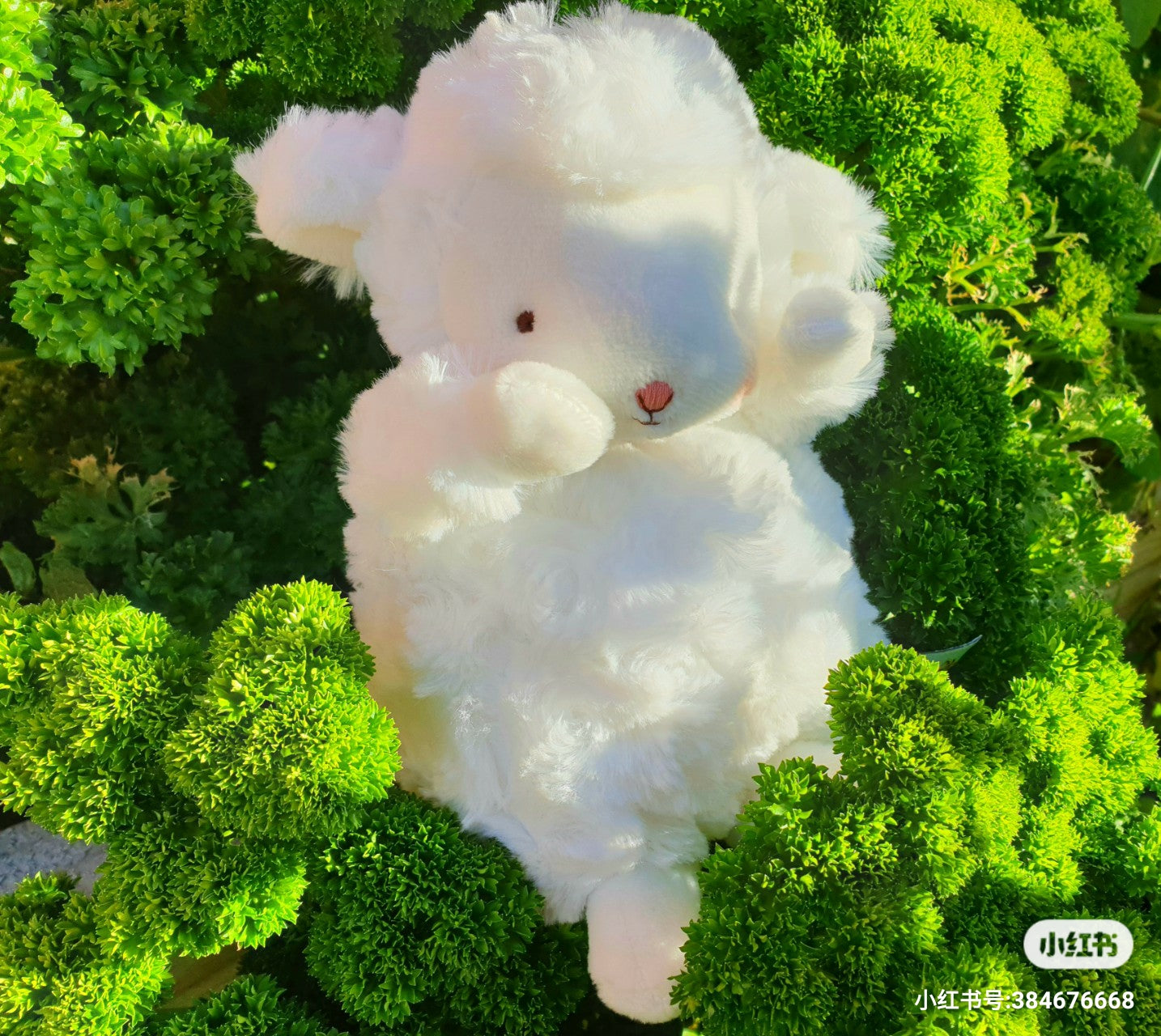 Bunnies by the Bay Wee Kiddo Sheep/ Lamb 15cm