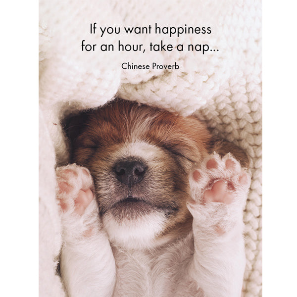 Affirmations - 24 Affirmations Cards - Live Love Bark - DBA