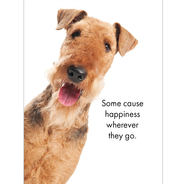 Affirmations - 24 Affirmations Cards - Live Love Bark - DBA