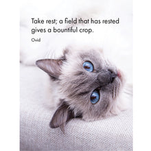 Load image into Gallery viewer, Affirmations 24 Cards - Cat&#39;s Whiskers - DCW
