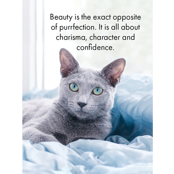 Affirmations 24 Cards - Cat's Whiskers - DCW