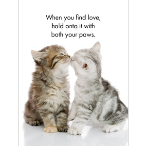 Affirmations 24 Cards - Cat's Whiskers - DCW