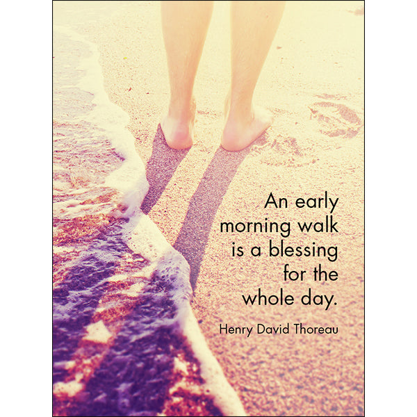 Affirmations 24 Cards - Daily Blessings - DDB
