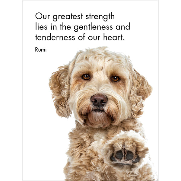Affirmations 24 Cards - Good Dogs - DGD