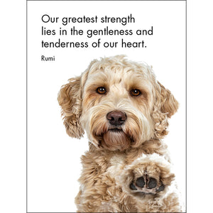 Affirmations 24 Cards - Good Dogs - DGD