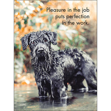 Load image into Gallery viewer, Affirmations 24 Cards - Good Dogs - DGD
