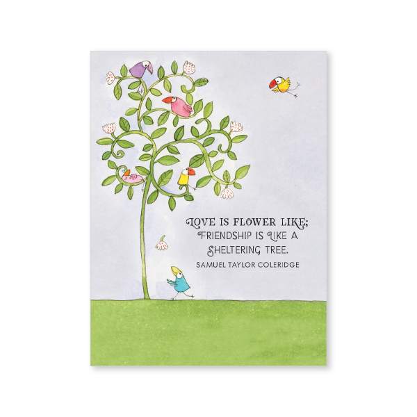 Affirmations -Twigseeds 24 Cards - A Little Box of Love - DLO