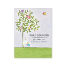 Load image into Gallery viewer, Affirmations -Twigseeds 24 Cards - A Little Box of Love - DLO
