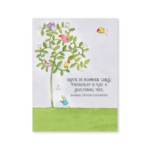 Affirmations -Twigseeds 24 Cards - A Little Box of Love - DLO