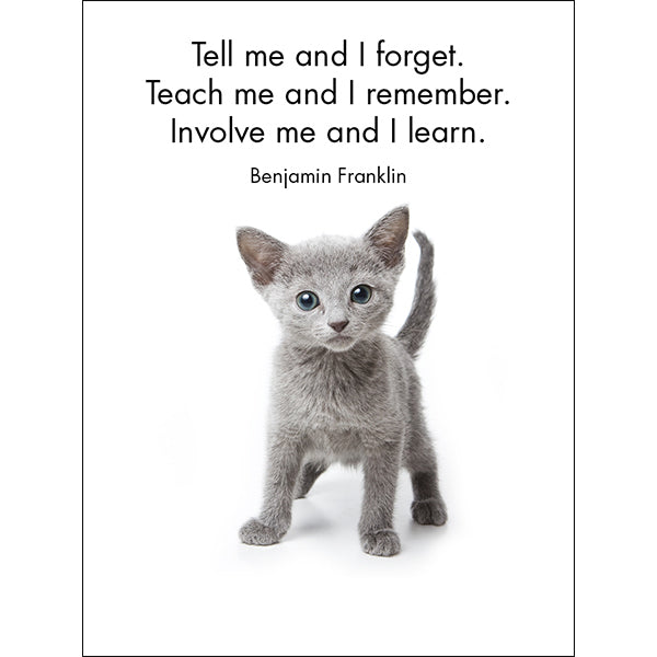 Affirmations 24 Cards - Little Treasures - DLT