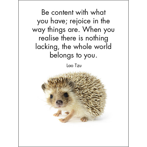 Affirmations 24 Cards - Little Treasures - DLT