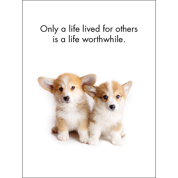 Affirmations 24 Cards - Little Treasures - DLT