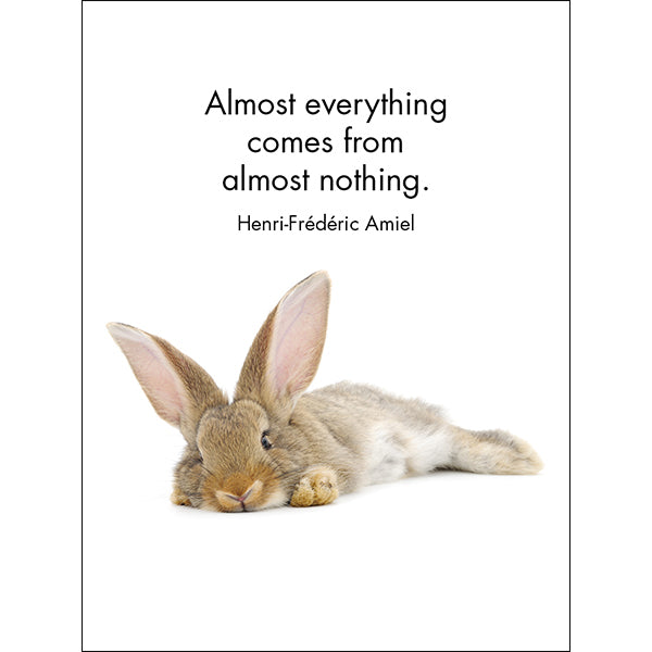 Affirmations 24 Cards - Little Treasures - DLT