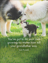 Load image into Gallery viewer, Affirmations 24 Cards - Every Dog Has It&#39;s Day - DOG
