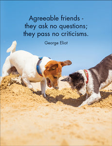 Affirmations 24 Cards - Every Dog Has It's Day - DOG