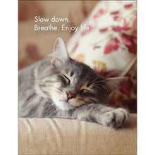 Load image into Gallery viewer, Affirmations 24 Cards - Wise Cats - DWC
