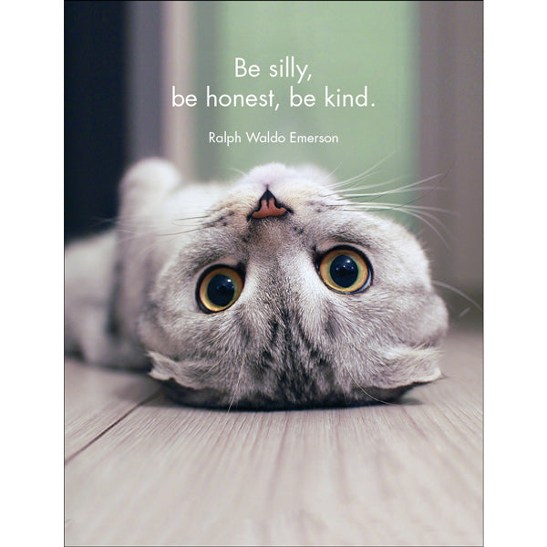 Affirmations 24 Cards - Wise Cats - DWC