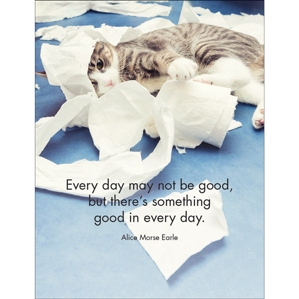Affirmations 24 Cards - Wise Cats - DWC