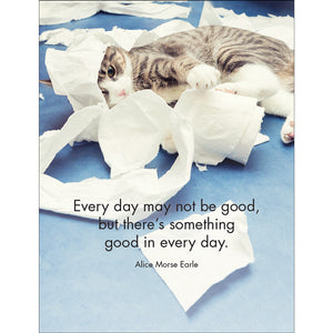 Affirmations 24 Cards - Wise Cats - DWC