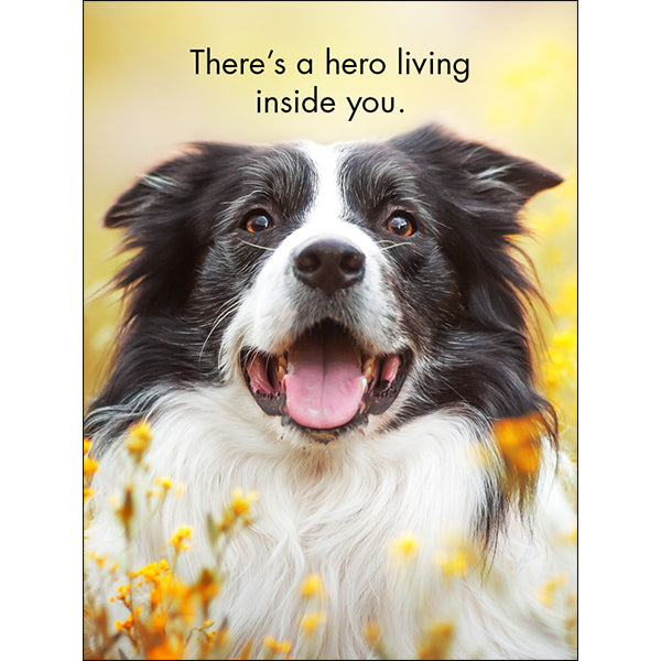 Affirmations 24 Cards - You're One of a Kind - DYK