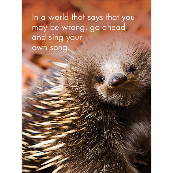 Affirmations 24 Cards - You're One of a Kind - DYK