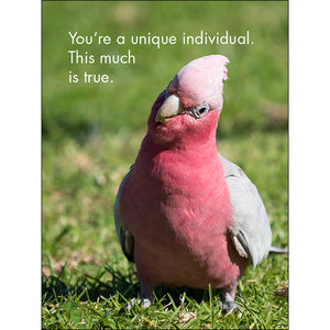 Affirmations 24 Cards - You're One of a Kind - DYK