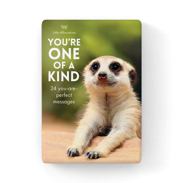 Affirmations 24 Cards - You're One of a Kind - DYK