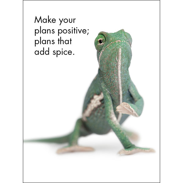 Affirmations 24 Cards - You're the Best - DYT