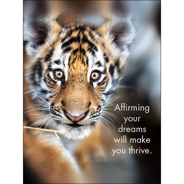 Affirmations 24 Cards - You're the Best - DYT