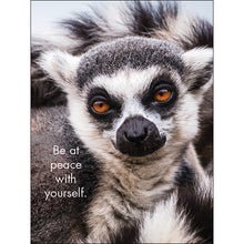 Load image into Gallery viewer, Affirmations 24 Cards - You&#39;re the Best - DYT
