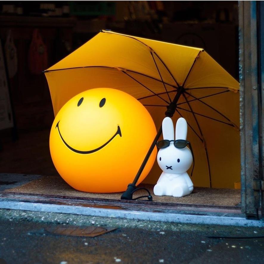 Smiley XL Light 45cm