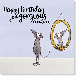 Affirmations - Twigseeds Birthday Card - Gorgeous Creature - K178