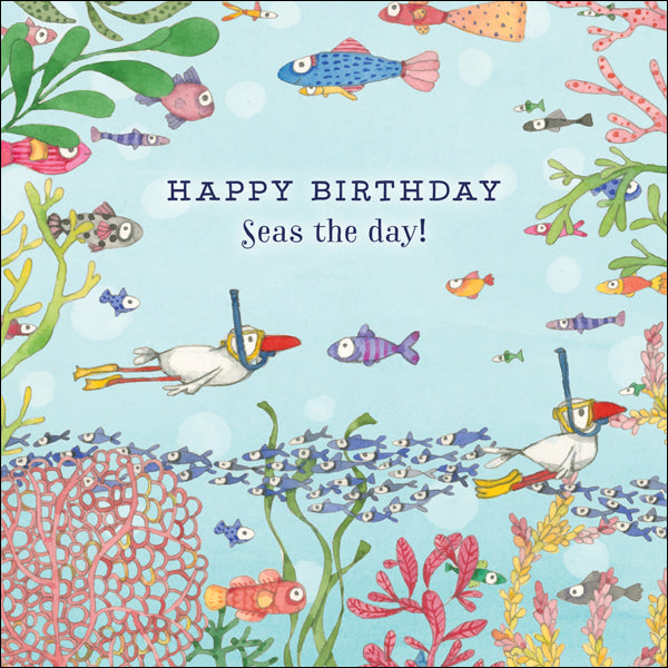 Affirmations - Twigseeds Birthday Card - Seas the day - K269