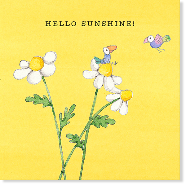 Affirmations - Twigseeds Thinking of You Card - Hello sunshine! - K309