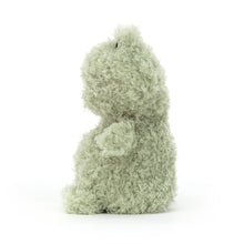 Load image into Gallery viewer, Jellycat Little Frog 18cm
