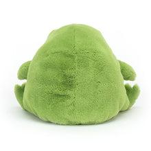 Load image into Gallery viewer, Jellycat Ricky Rain Frog 17cm
