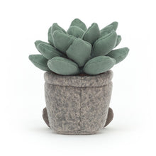 Load image into Gallery viewer, Jellycat Silly Succulent Azulita 16cm
